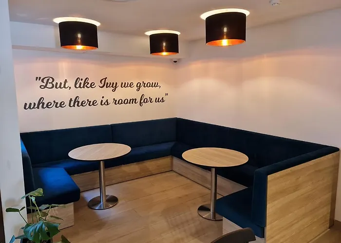 Hotel Ivy - Adults Only 3*